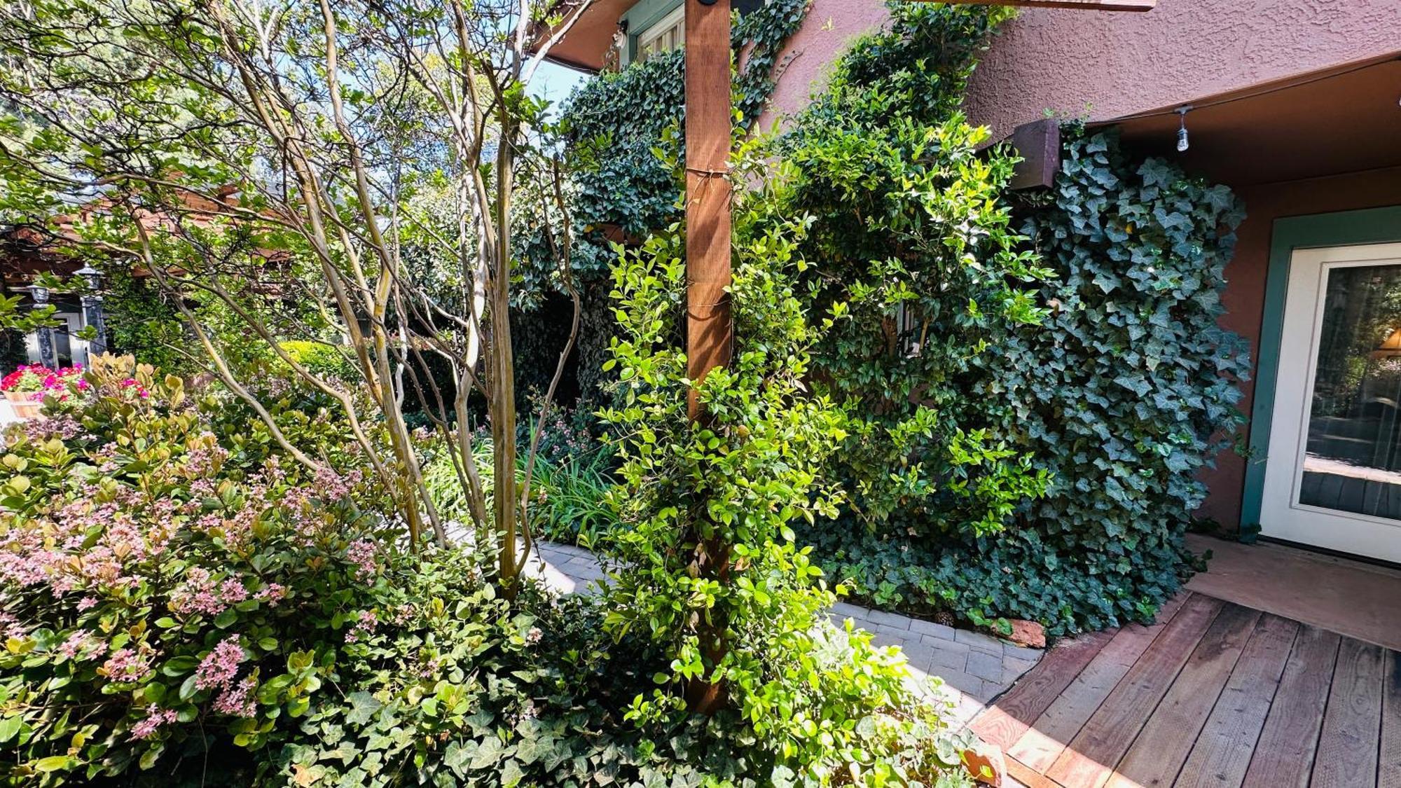 Lantern Light Inn - Romantic Getaway (Adults Only) Sedona Kültér fotó