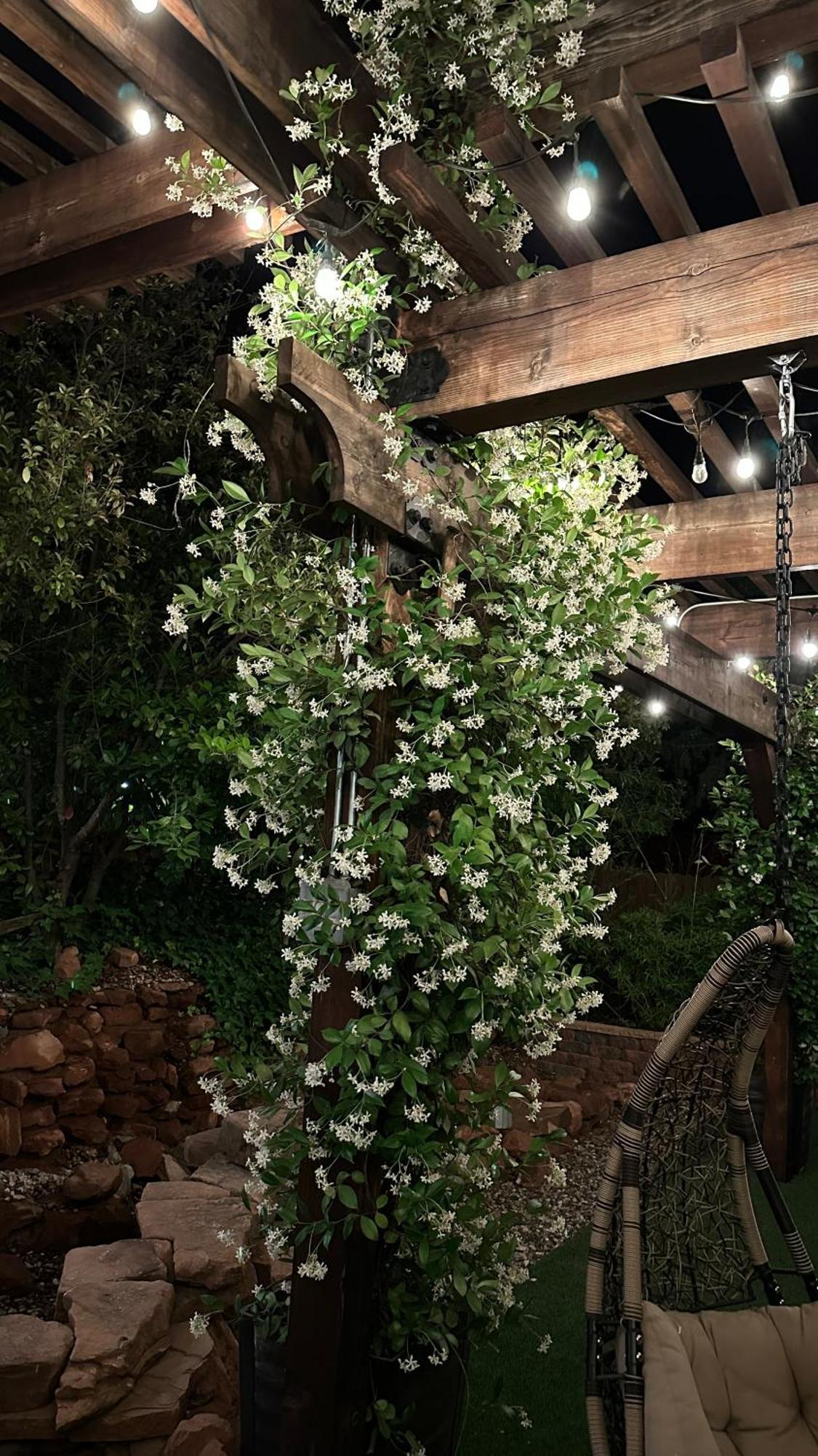 Lantern Light Inn - Romantic Getaway (Adults Only) Sedona Kültér fotó